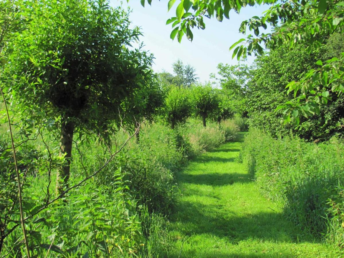 Gaestezimmer Im Engelshof, 61224 Moormerland Luaran gambar
